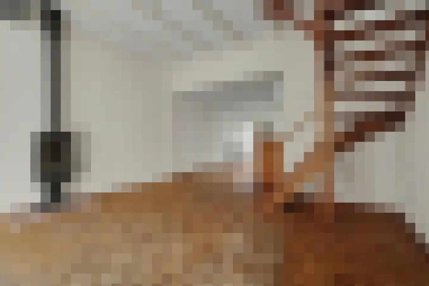 Cornelis Eversdijkstraat 14 Goes thumbnail 8