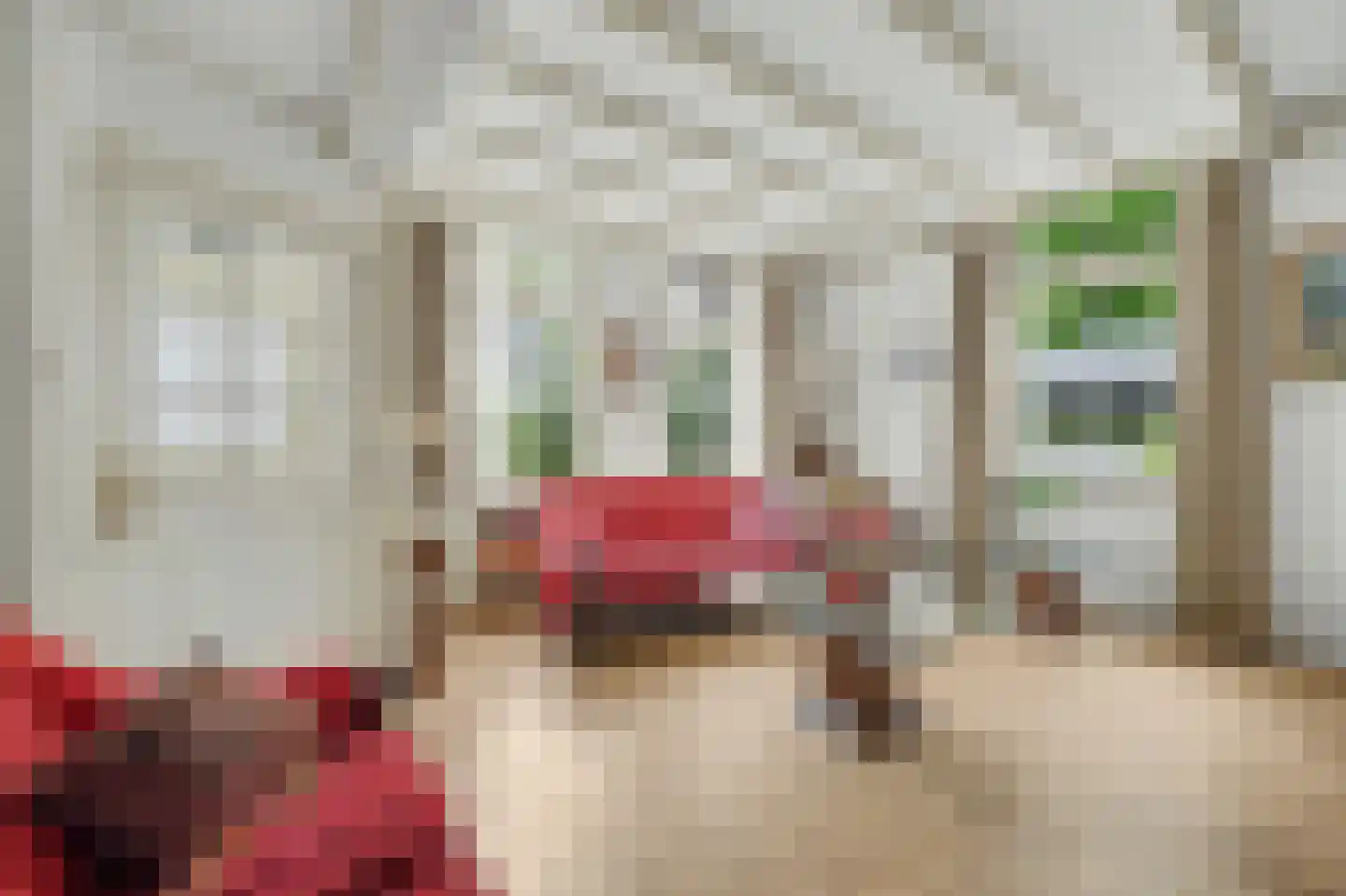 Cornelis Eversdijkstraat 2 Goes thumbnail 12