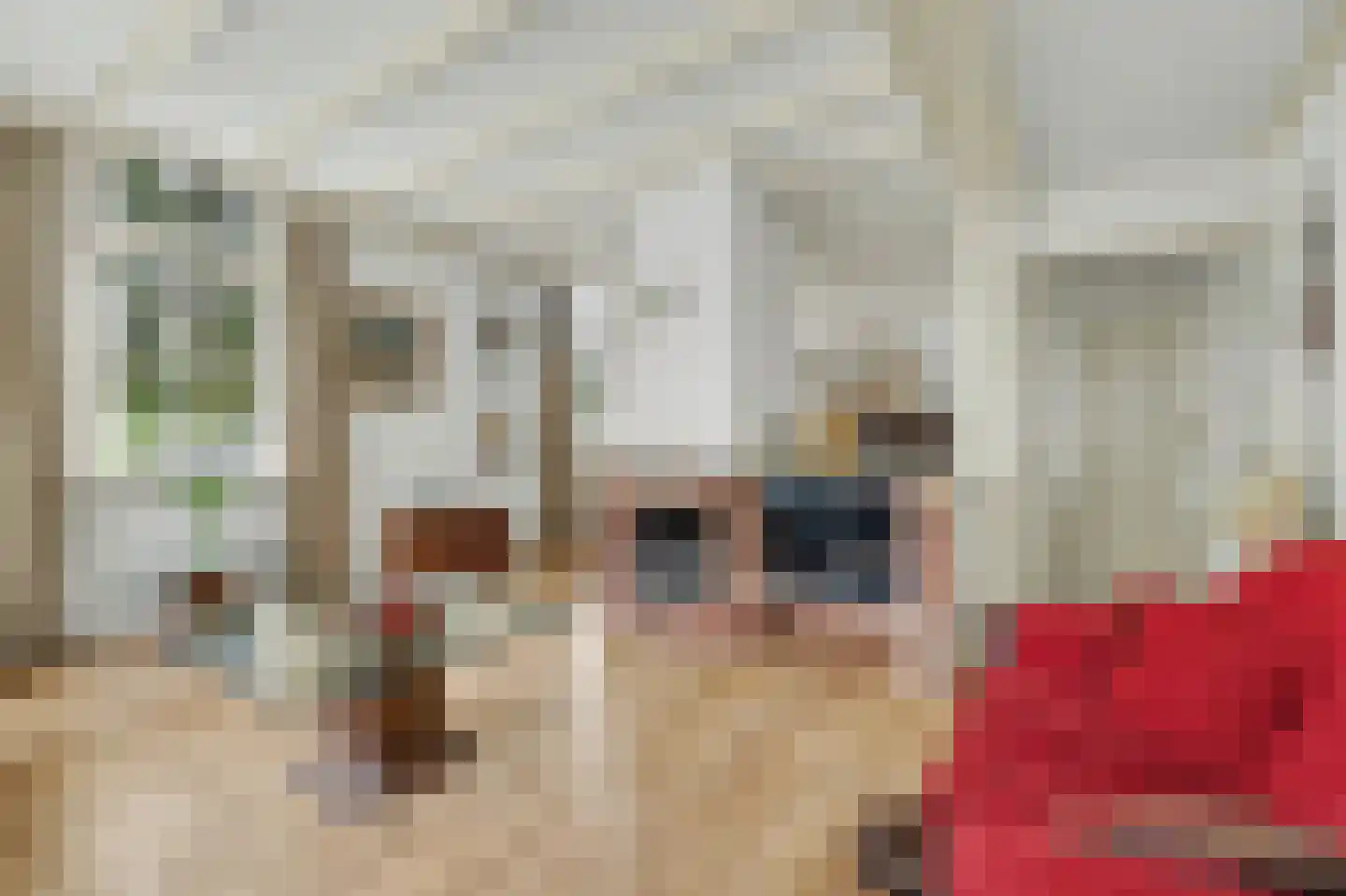 Cornelis Eversdijkstraat 2 Goes thumbnail 13
