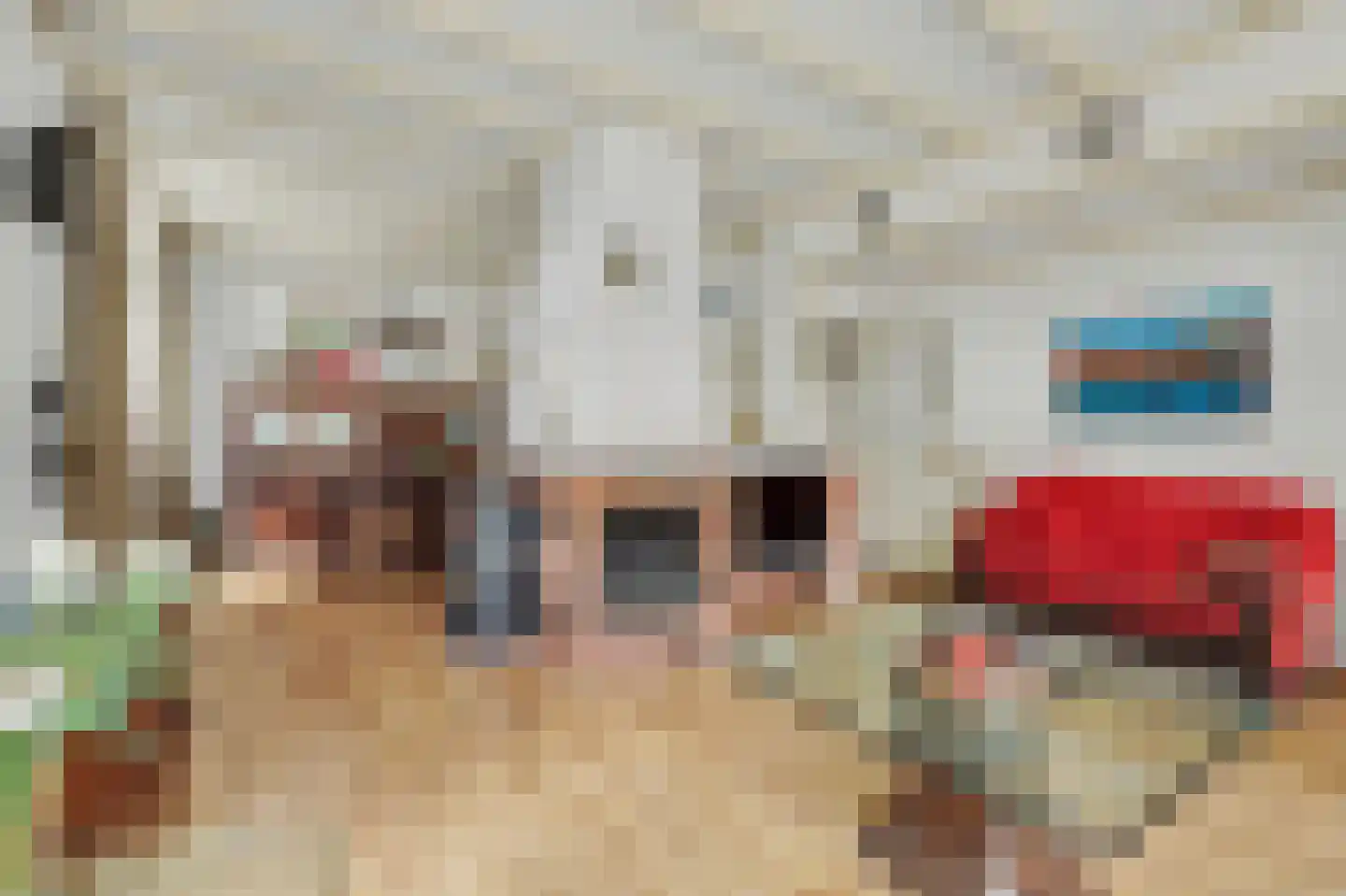 Cornelis Eversdijkstraat 2 Goes thumbnail 14