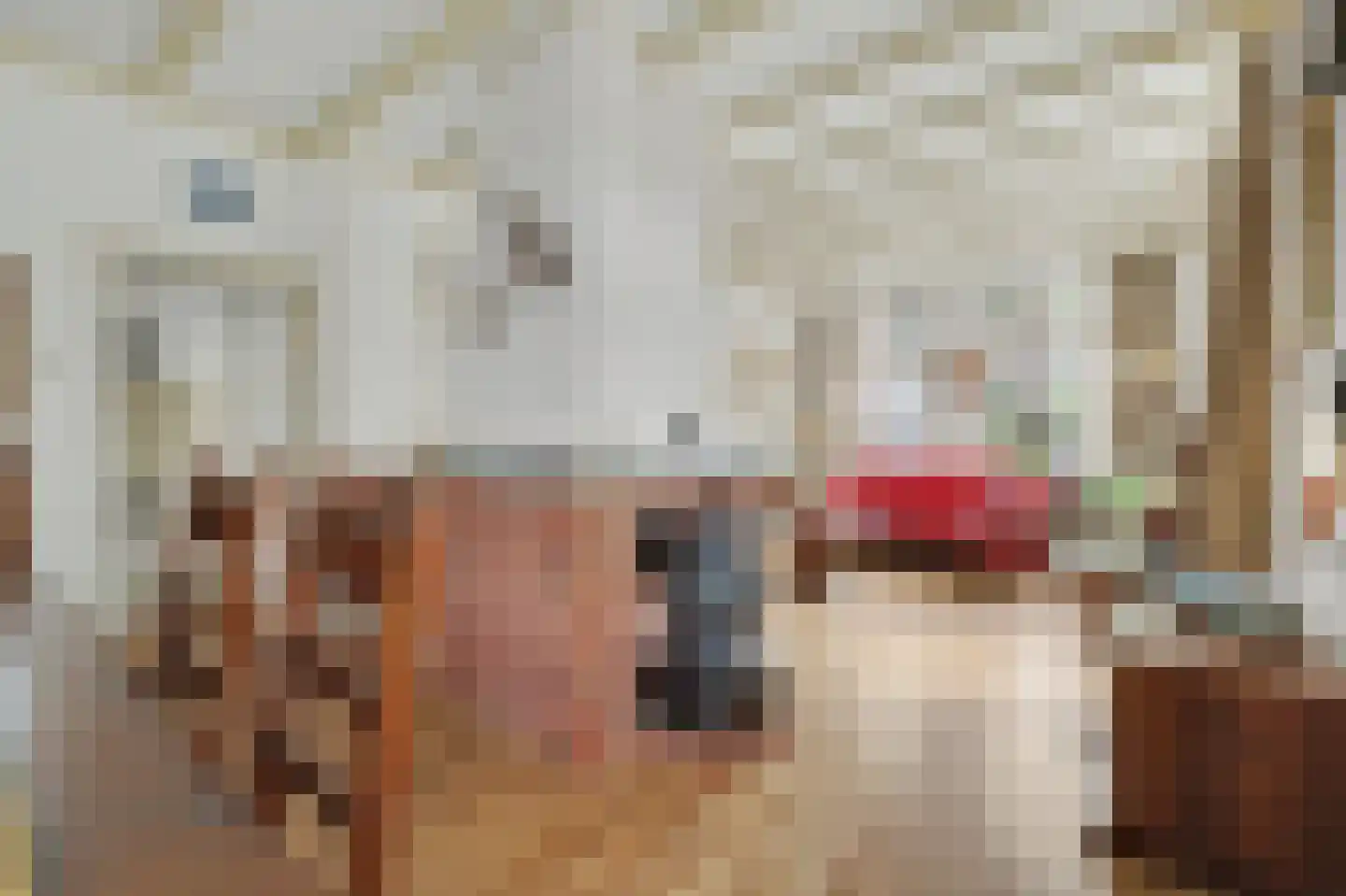 Cornelis Eversdijkstraat 2 Goes thumbnail 15