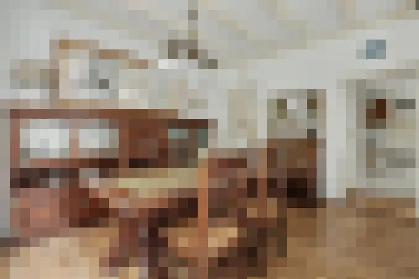 Cornelis Eversdijkstraat 2 Goes thumbnail 18