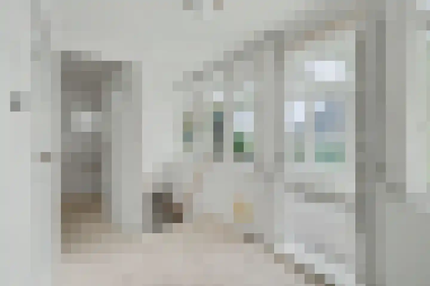 Cornelis Eversdijkstraat 2 Goes thumbnail 29