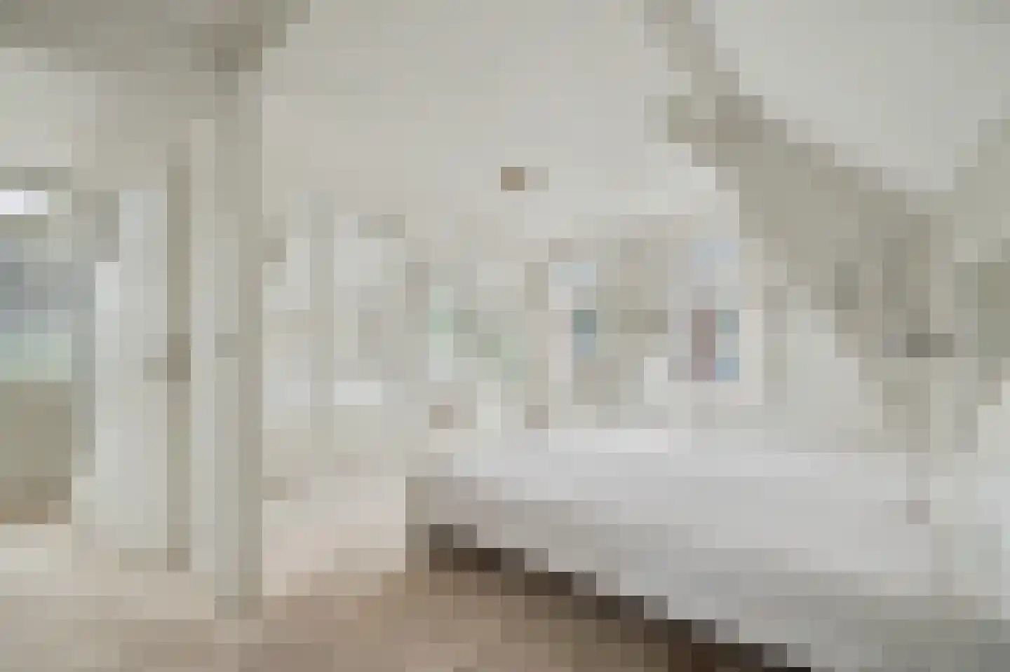 Cornelis Eversdijkstraat 2 Goes thumbnail 32