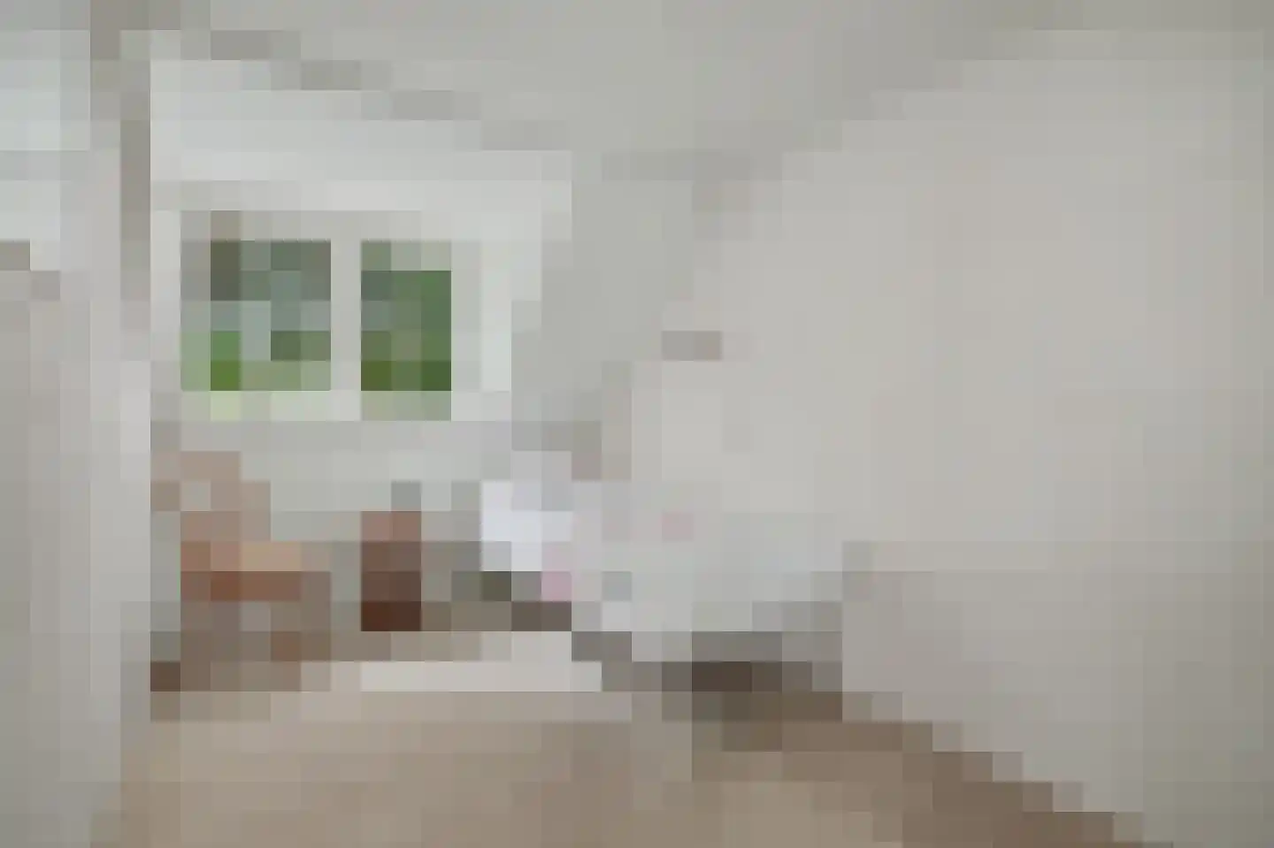 Cornelis Eversdijkstraat 2 Goes thumbnail 34