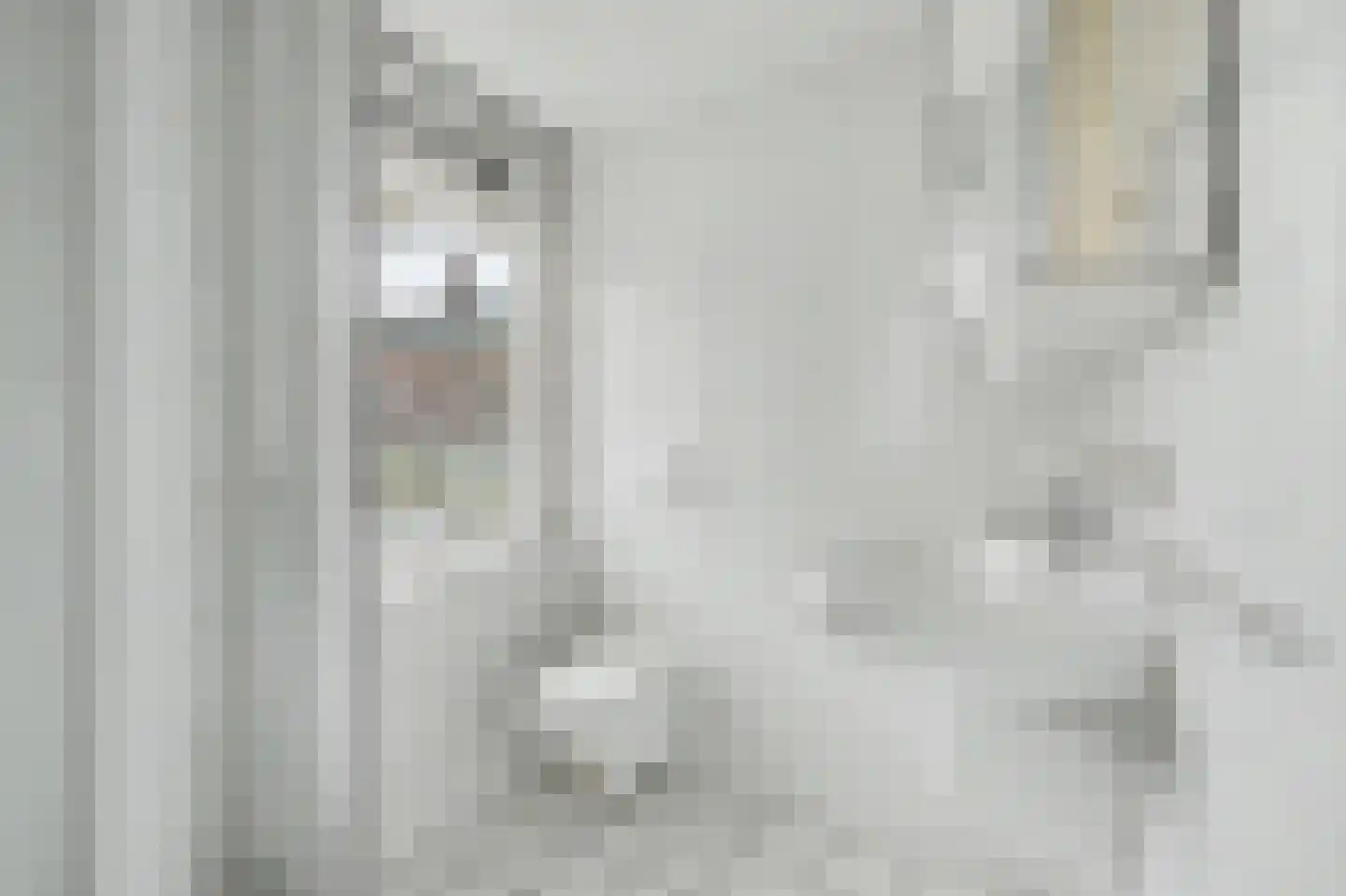 Cornelis Eversdijkstraat 2 Goes thumbnail 38