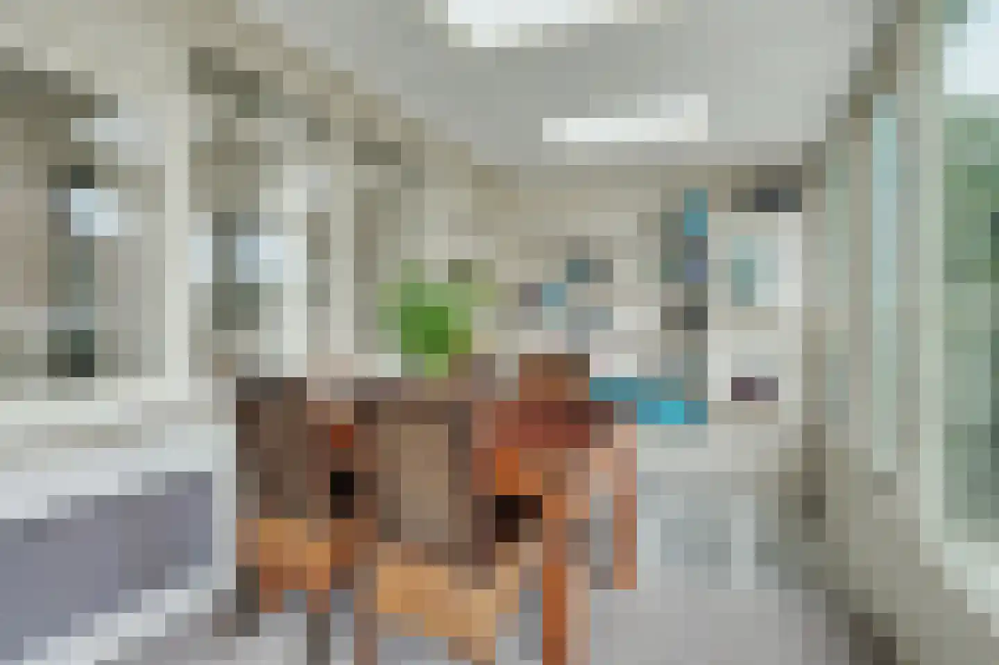 Cornelis Eversdijkstraat 2 Goes thumbnail 40