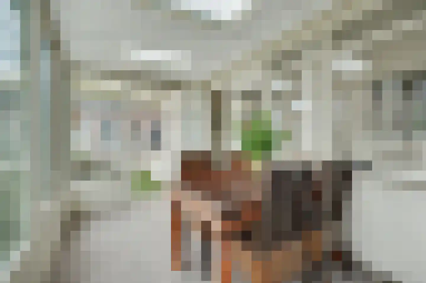 Cornelis Eversdijkstraat 2 Goes thumbnail 41