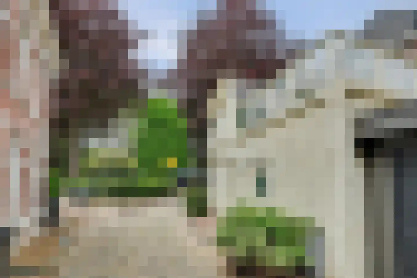 Cornelis Eversdijkstraat 2 Goes thumbnail 9