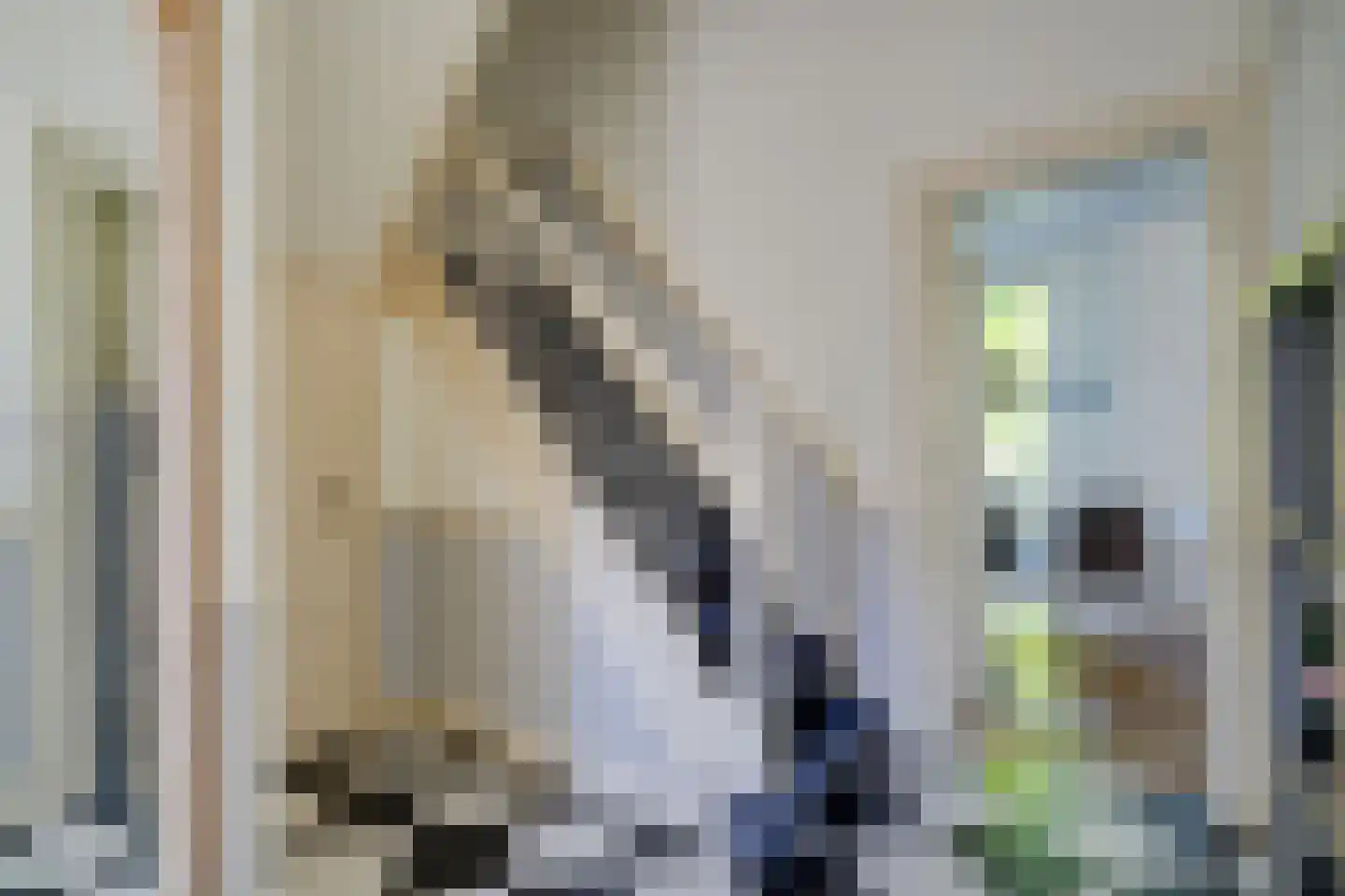 Cornelis Evertsenstraat 7 Utrecht thumbnail 11