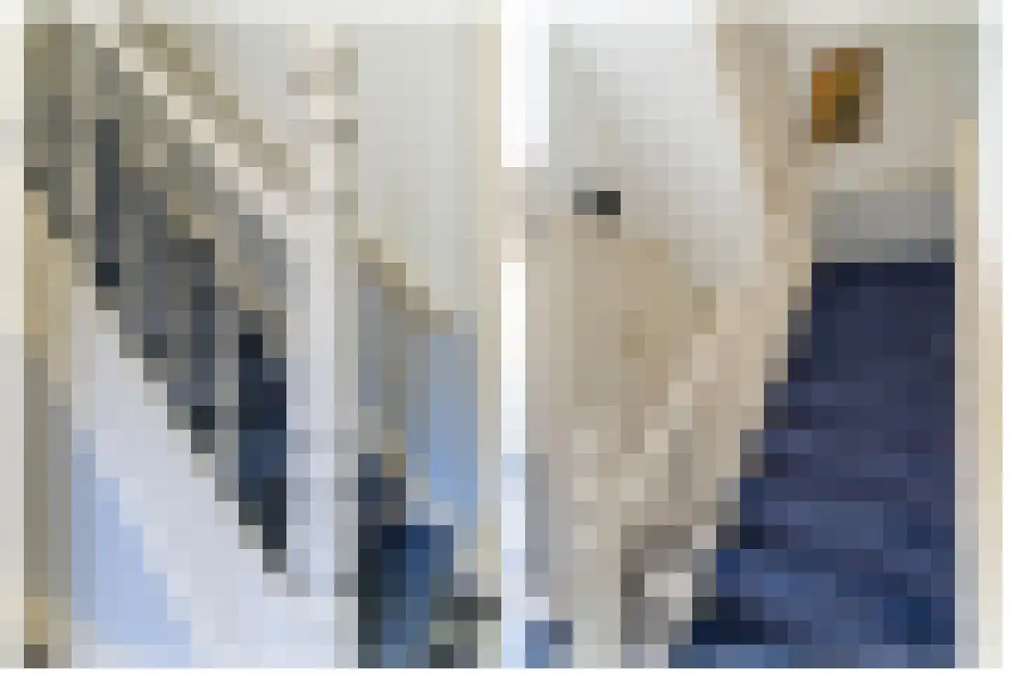 Cornelis Evertsenstraat 7 Utrecht thumbnail 12