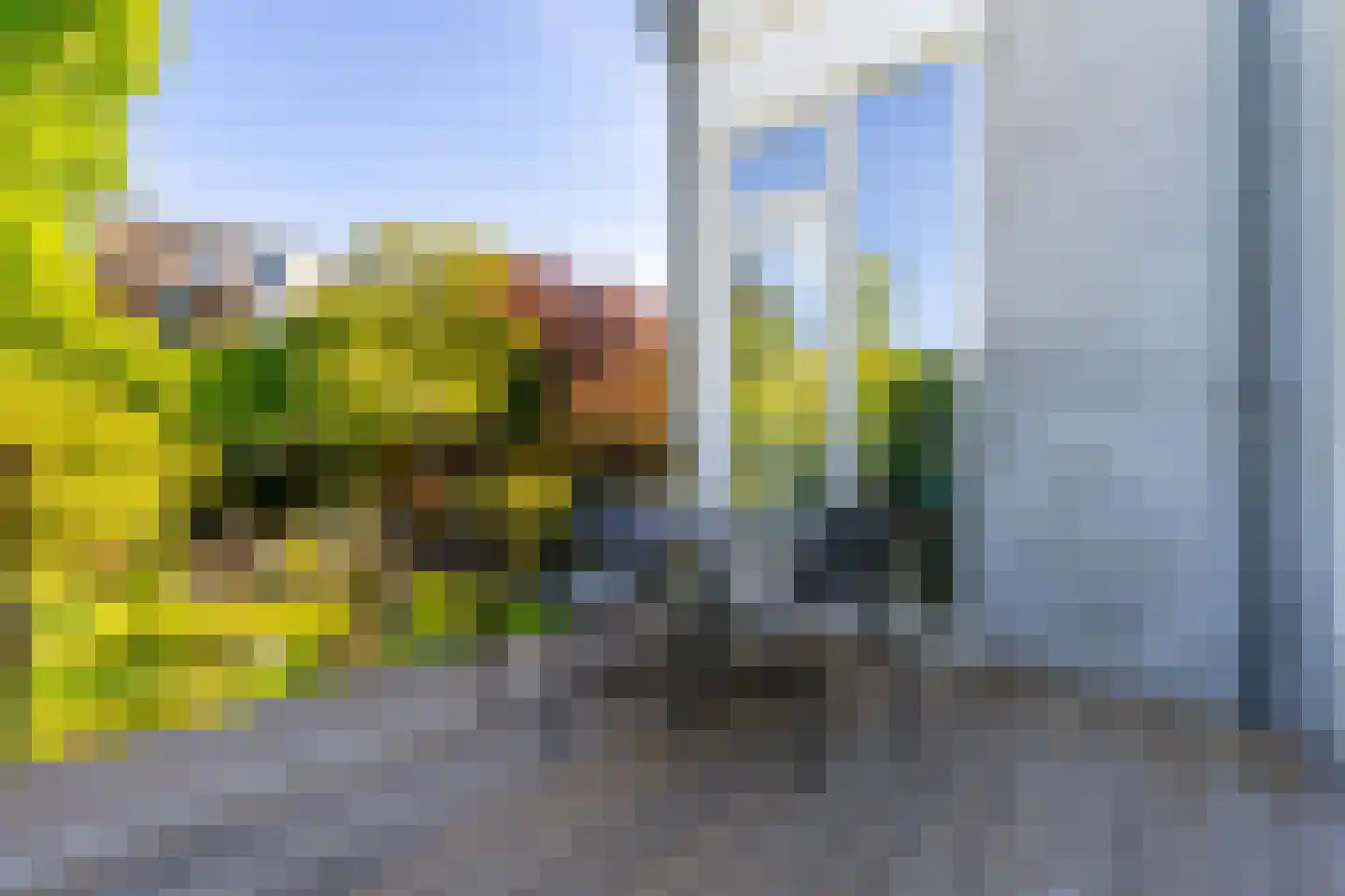 Cornelis Evertsenstraat 7 Utrecht thumbnail 24