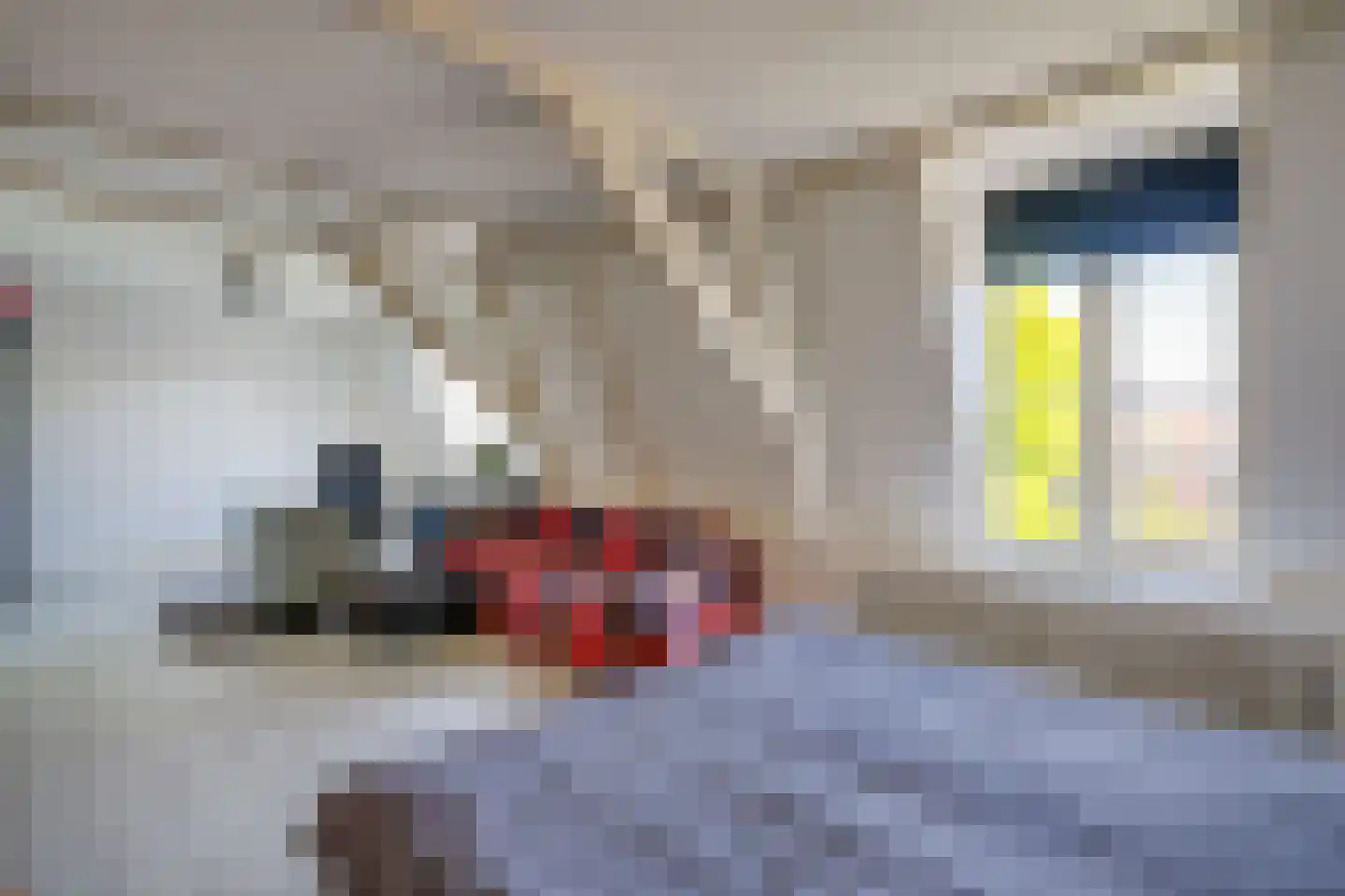Cornelis Evertsenstraat 7 Utrecht thumbnail 53