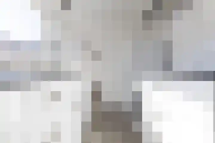 Cornelis Evertsenstraat 8 Den Helder thumbnail 10
