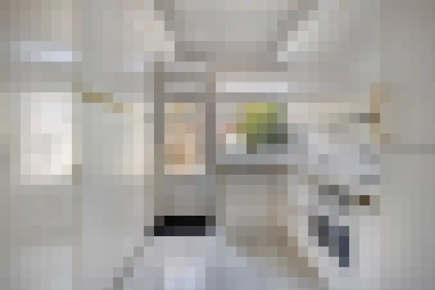 Cornelis Evertsenstraat 96 Zwijndrecht thumbnail 12