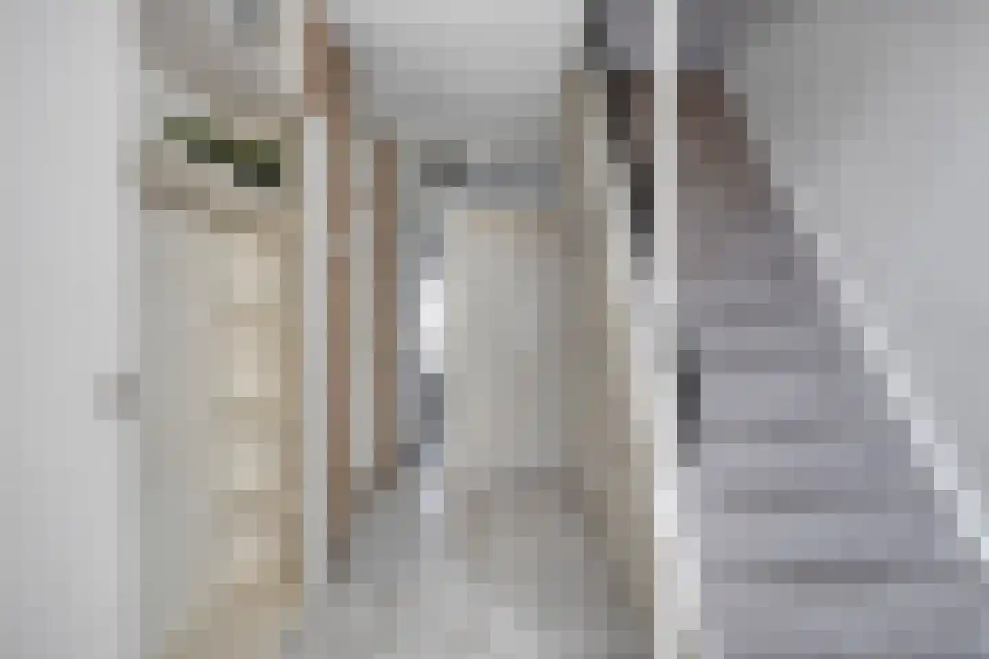 Cornelis Evertsenstraat 96 Zwijndrecht thumbnail 4