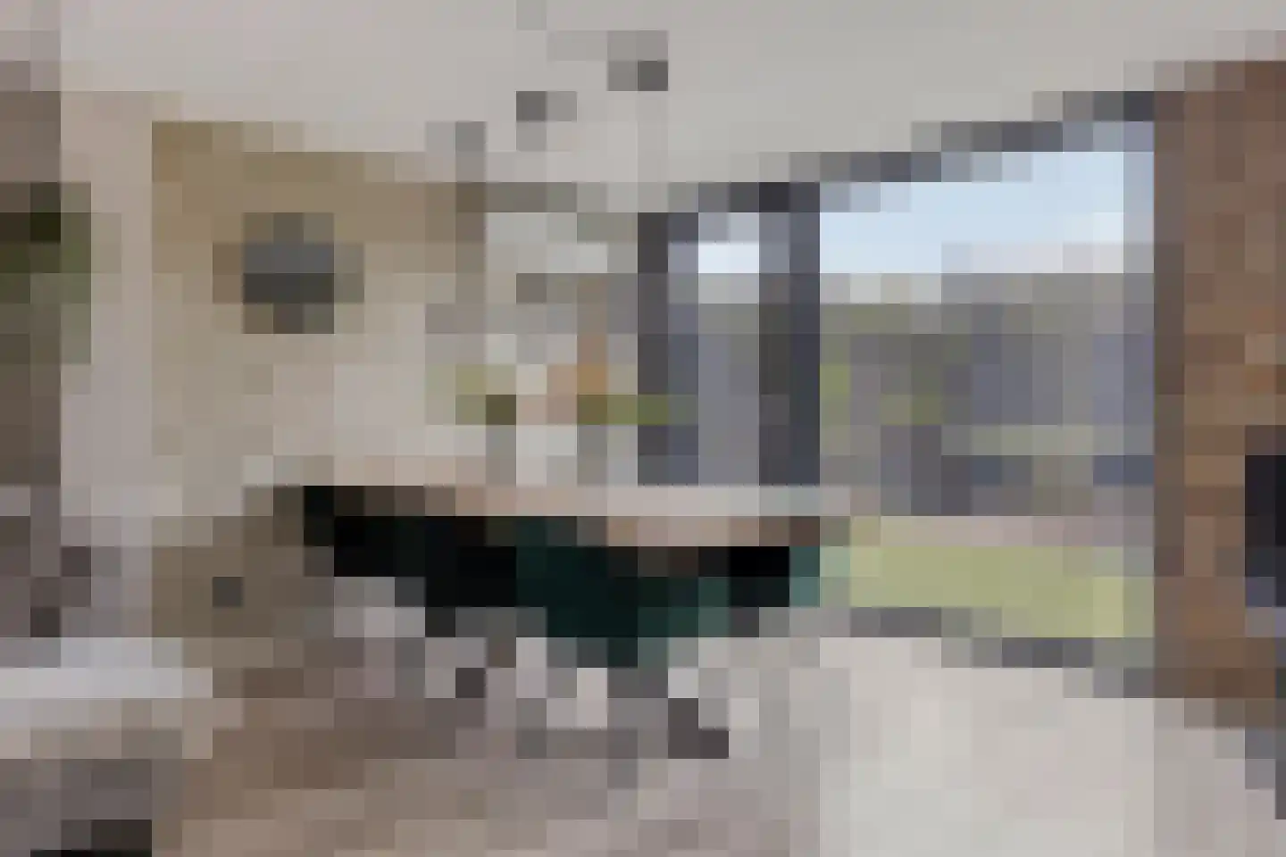 Cornelis Florisstraat 10 Breda thumbnail 14