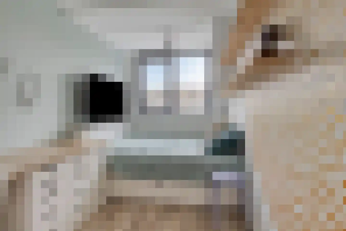 Cornelis Florisstraat 10 Breda thumbnail 32