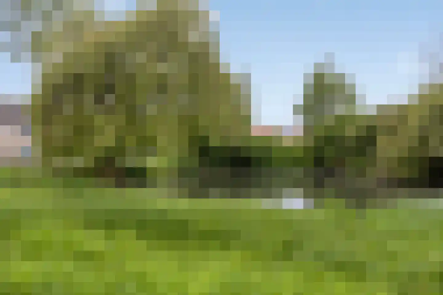 Cornelis Florisstraat 10 Breda thumbnail 38