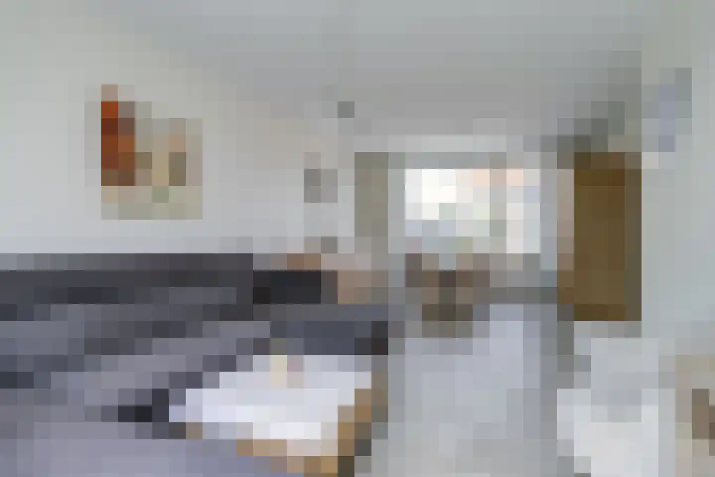 Cornelis Frankenstraat 10 Oud-Vossemeer thumbnail 10
