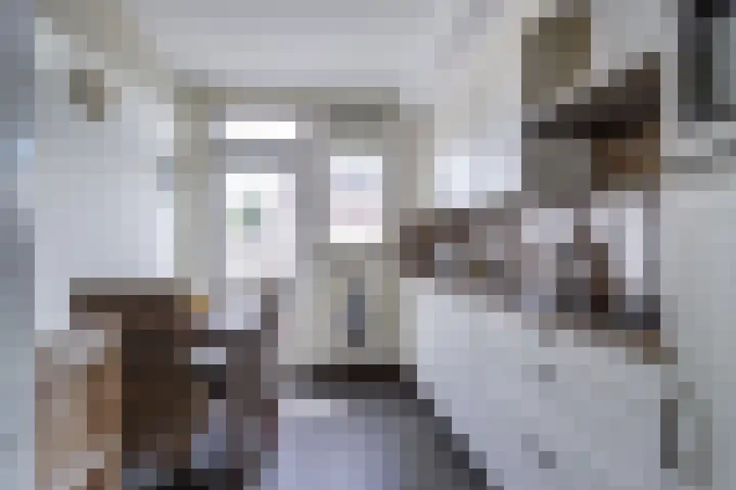 Cornelis Frankenstraat 10 Oud-Vossemeer thumbnail 13