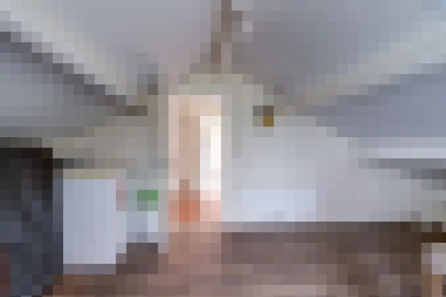 Cornelis Frankenstraat 10 Oud-Vossemeer thumbnail 20