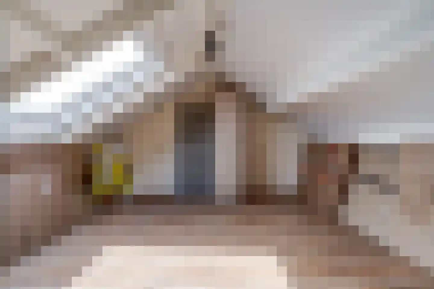 Cornelis Frankenstraat 10 Oud-Vossemeer thumbnail 21