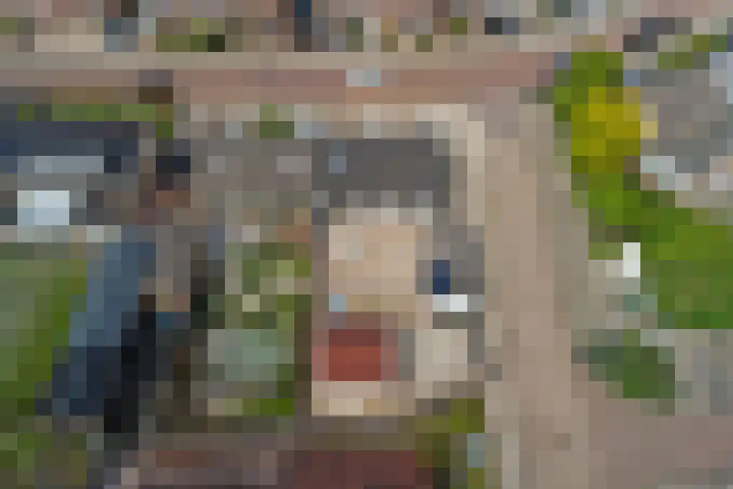 Cornelis Frankenstraat 10 Oud-Vossemeer thumbnail 32