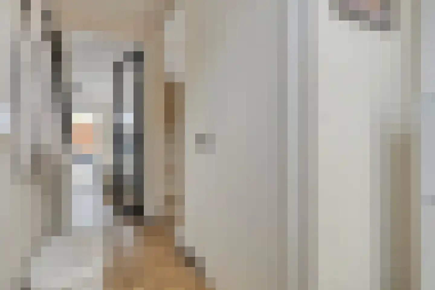 Cornelis Frankenstraat 17 Oud-Vossemeer thumbnail 11
