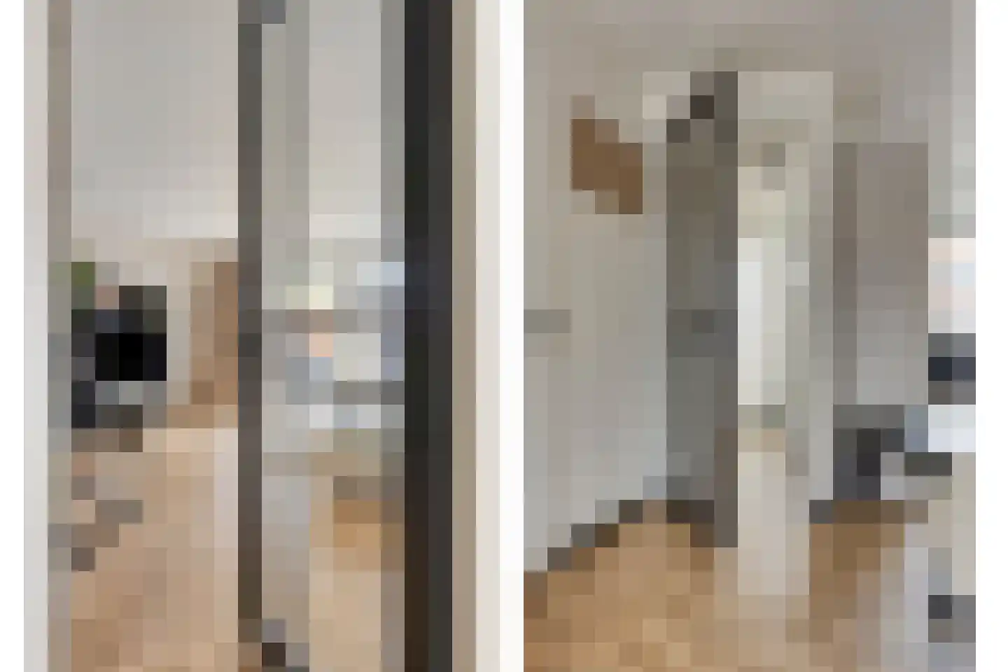 Cornelis Frankenstraat 17 Oud-Vossemeer thumbnail 12