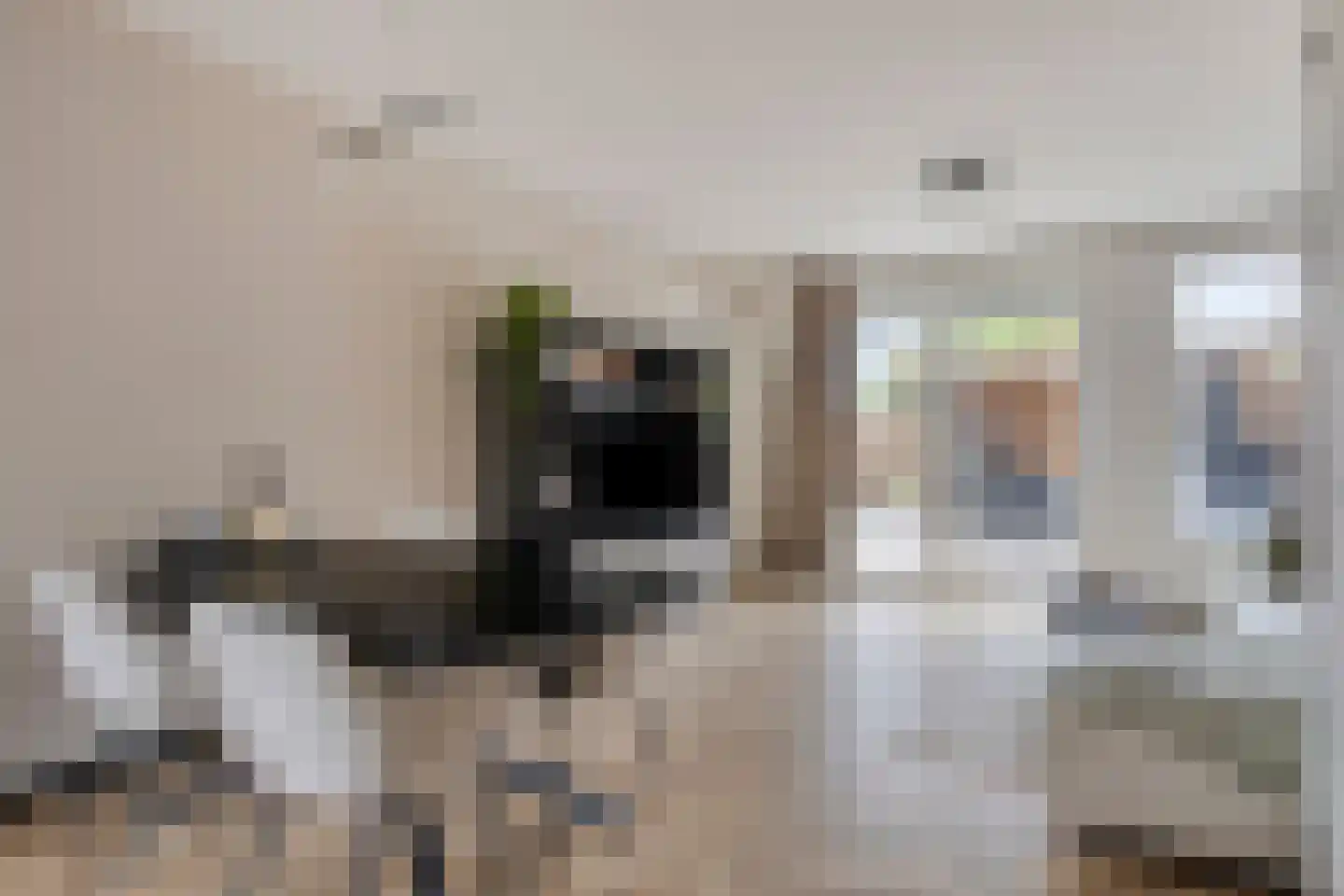 Cornelis Frankenstraat 17 Oud-Vossemeer thumbnail 13