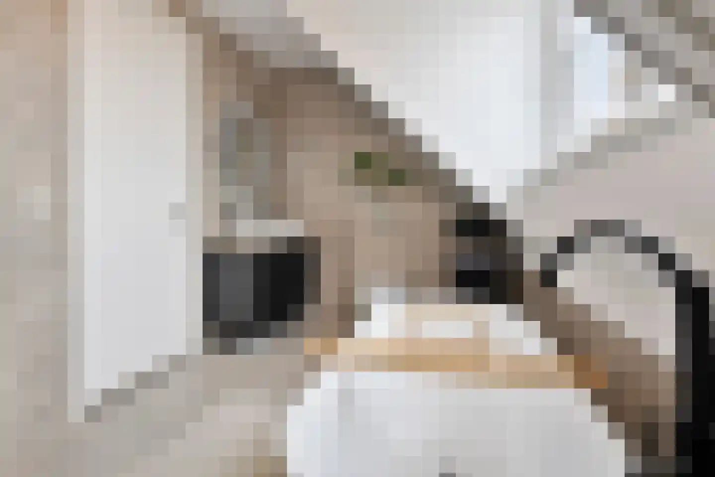 Cornelis Frankenstraat 17 Oud-Vossemeer thumbnail 27