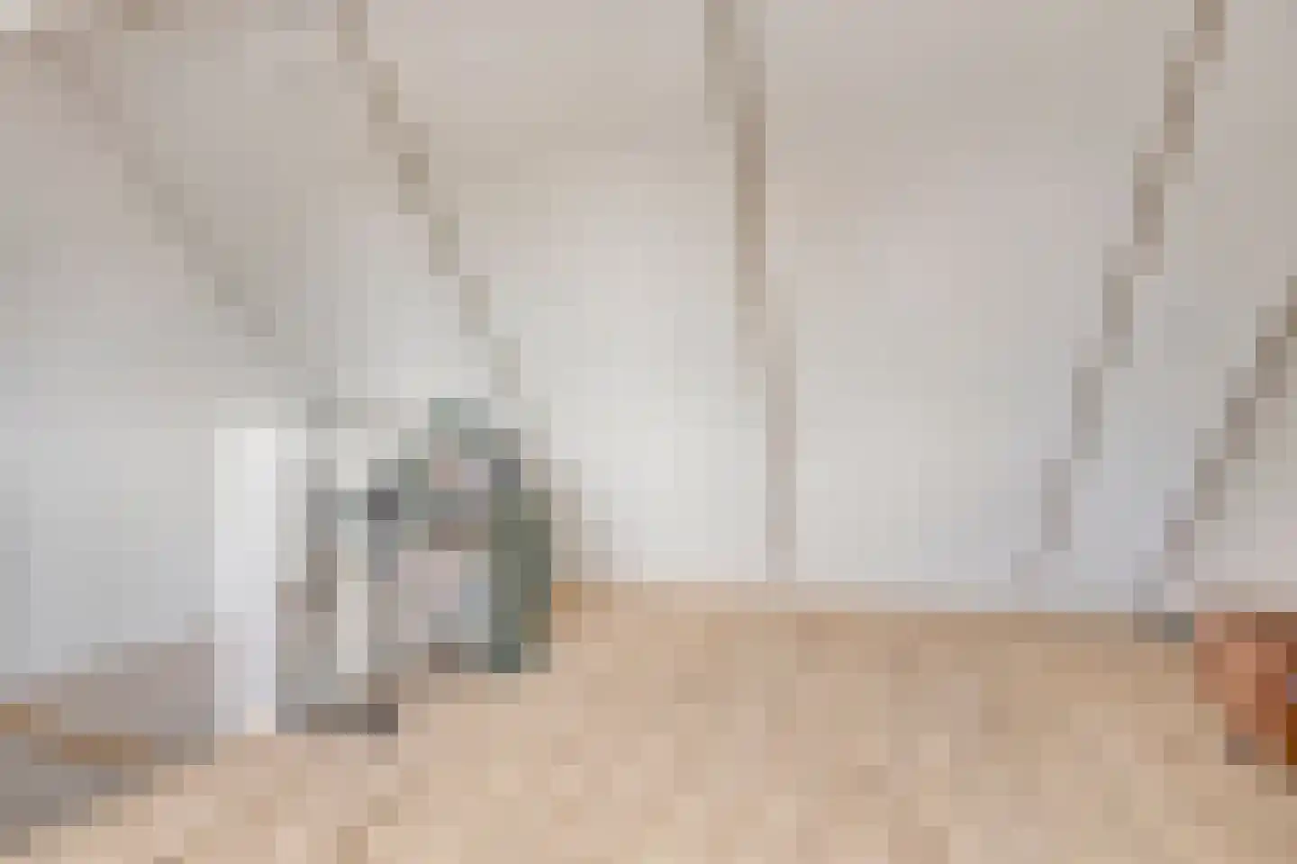 Cornelis Frankenstraat 17 Oud-Vossemeer thumbnail 32