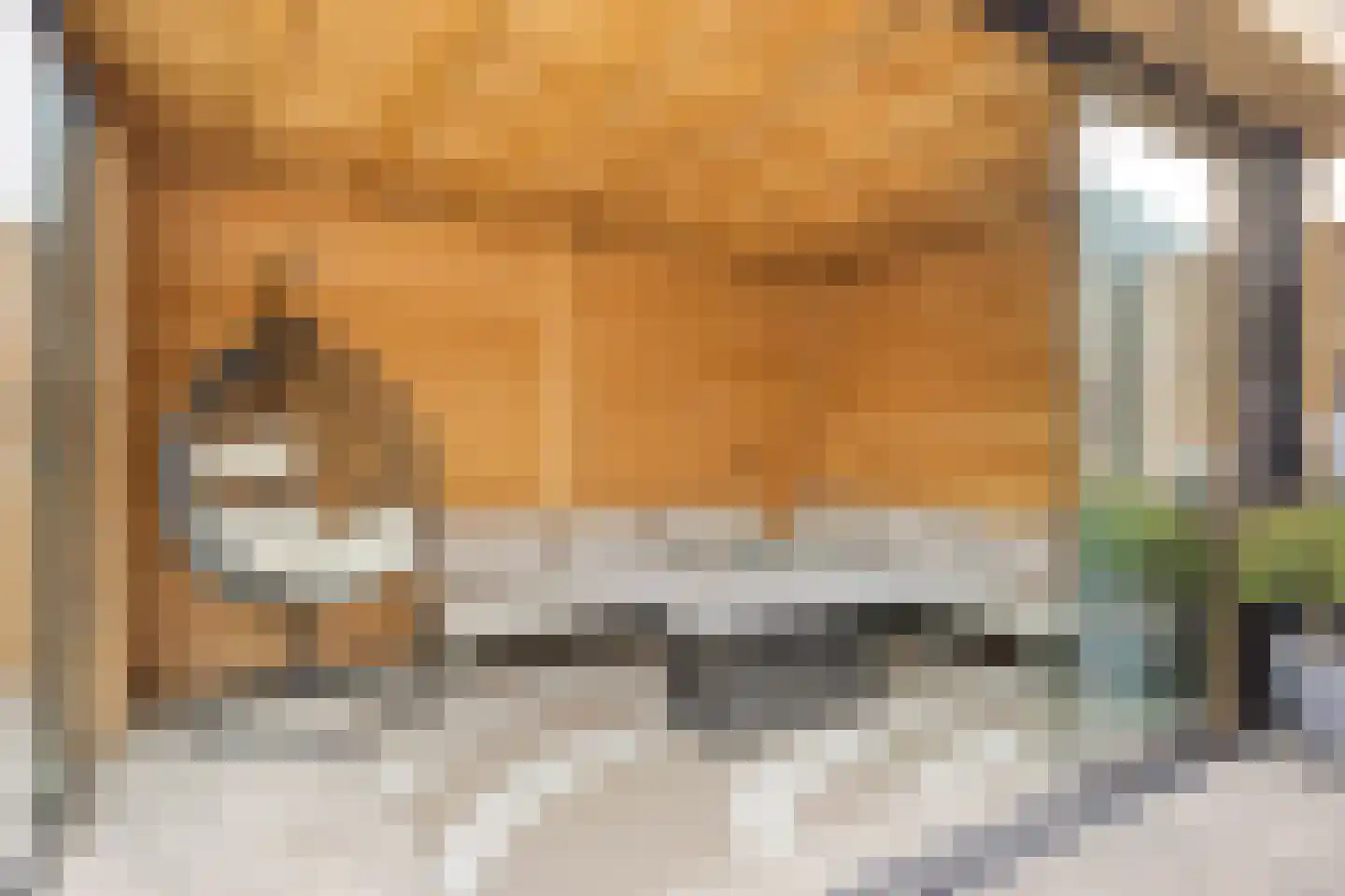 Cornelis Frankenstraat 17 Oud-Vossemeer thumbnail 37