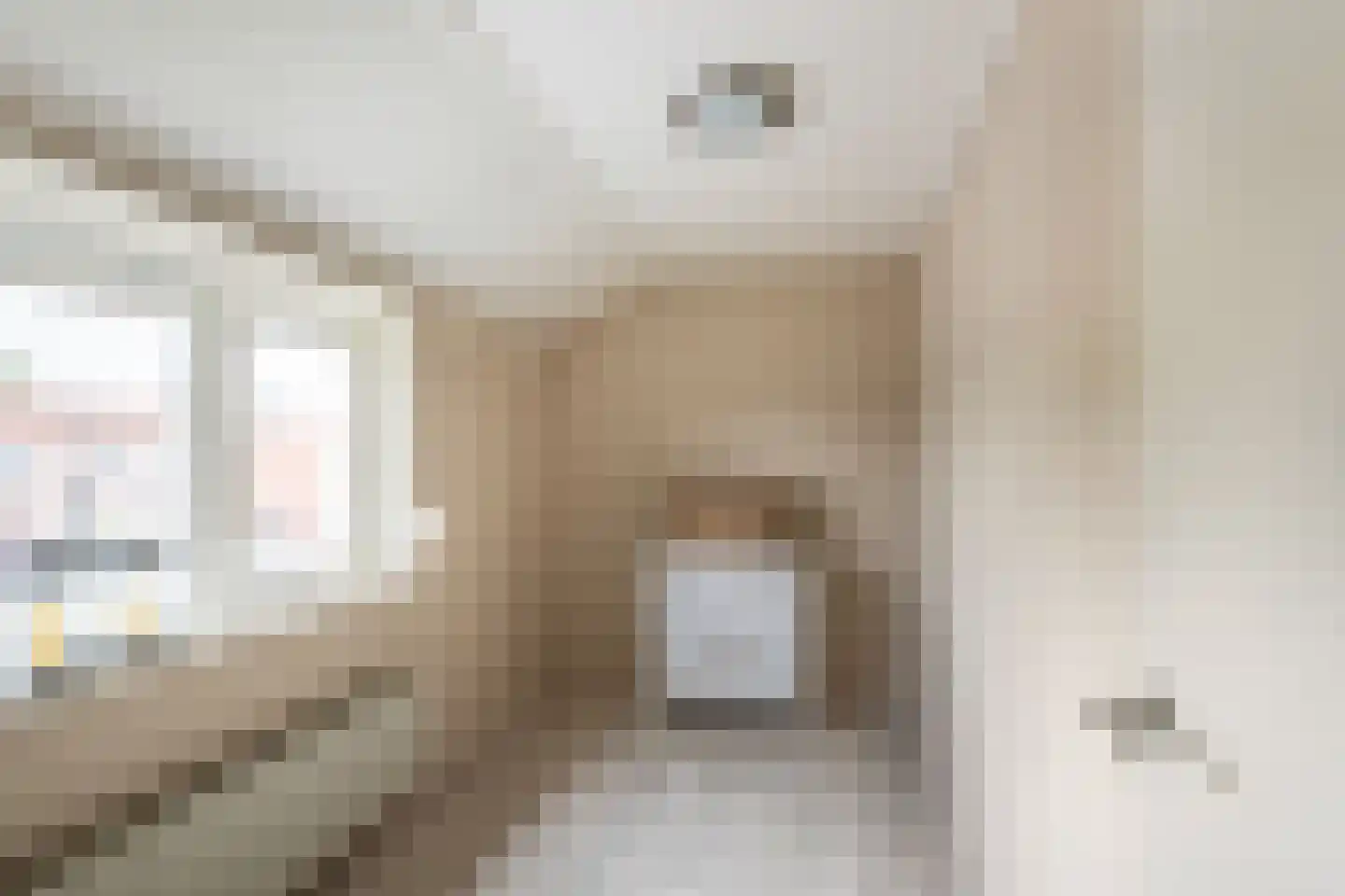 Cornelis Frankenstraat 33 Oud-Vossemeer thumbnail 19