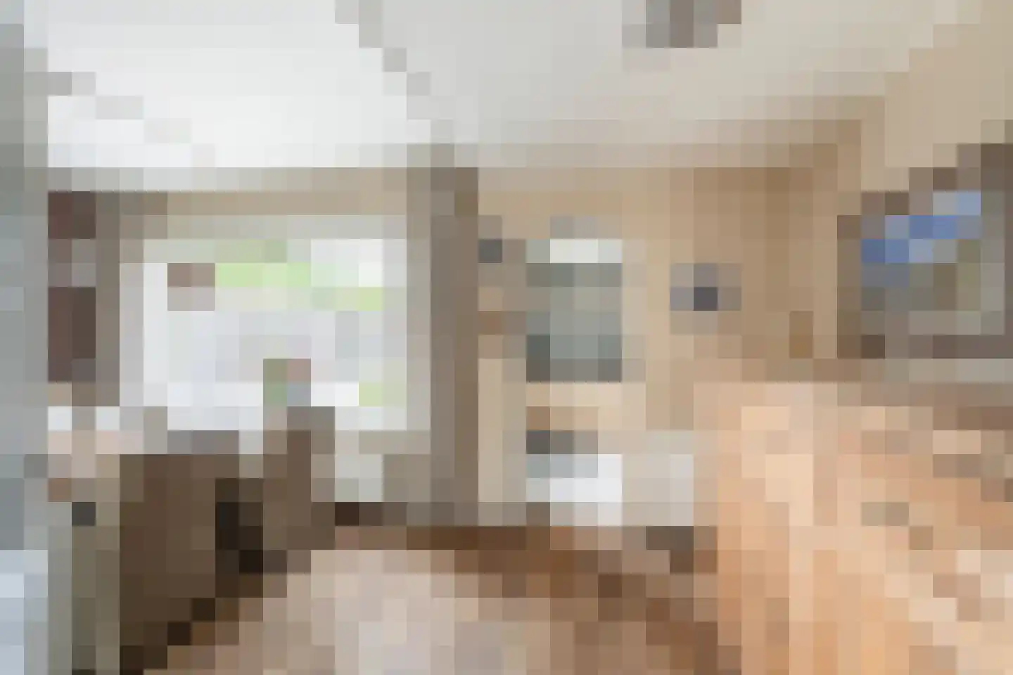 Cornelis Frankenstraat 33 Oud-Vossemeer thumbnail 9