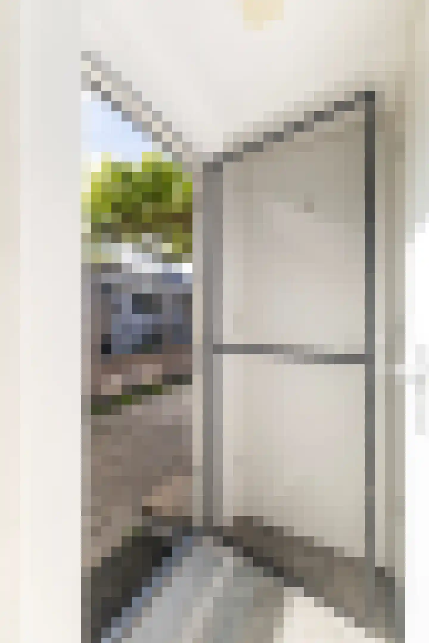 Cornelis Frederiksstraat 41 Leeuwarden thumbnail 12