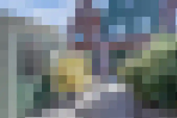 Cornelis G. Dekkerstraat 4 Westzaan thumbnail 42