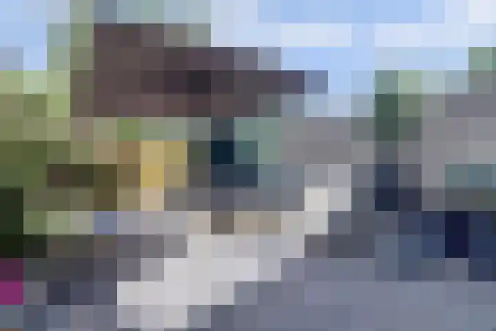 Cornelis G. Dekkerstraat 4 Westzaan thumbnail 43