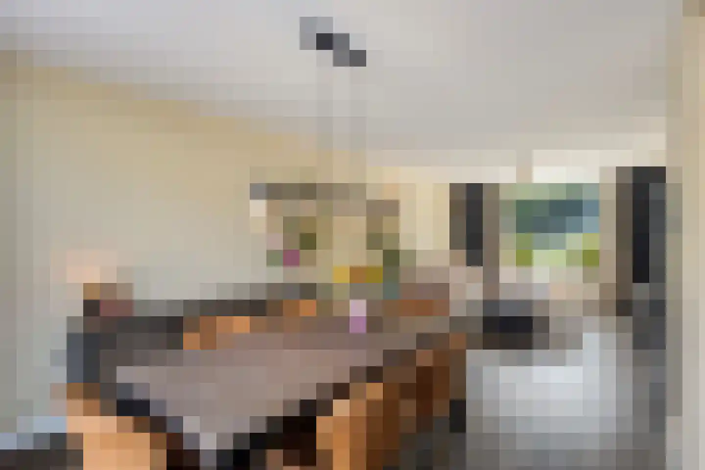 Cornelis Gerritsz Geusstraat 264 Den Helder thumbnail 10