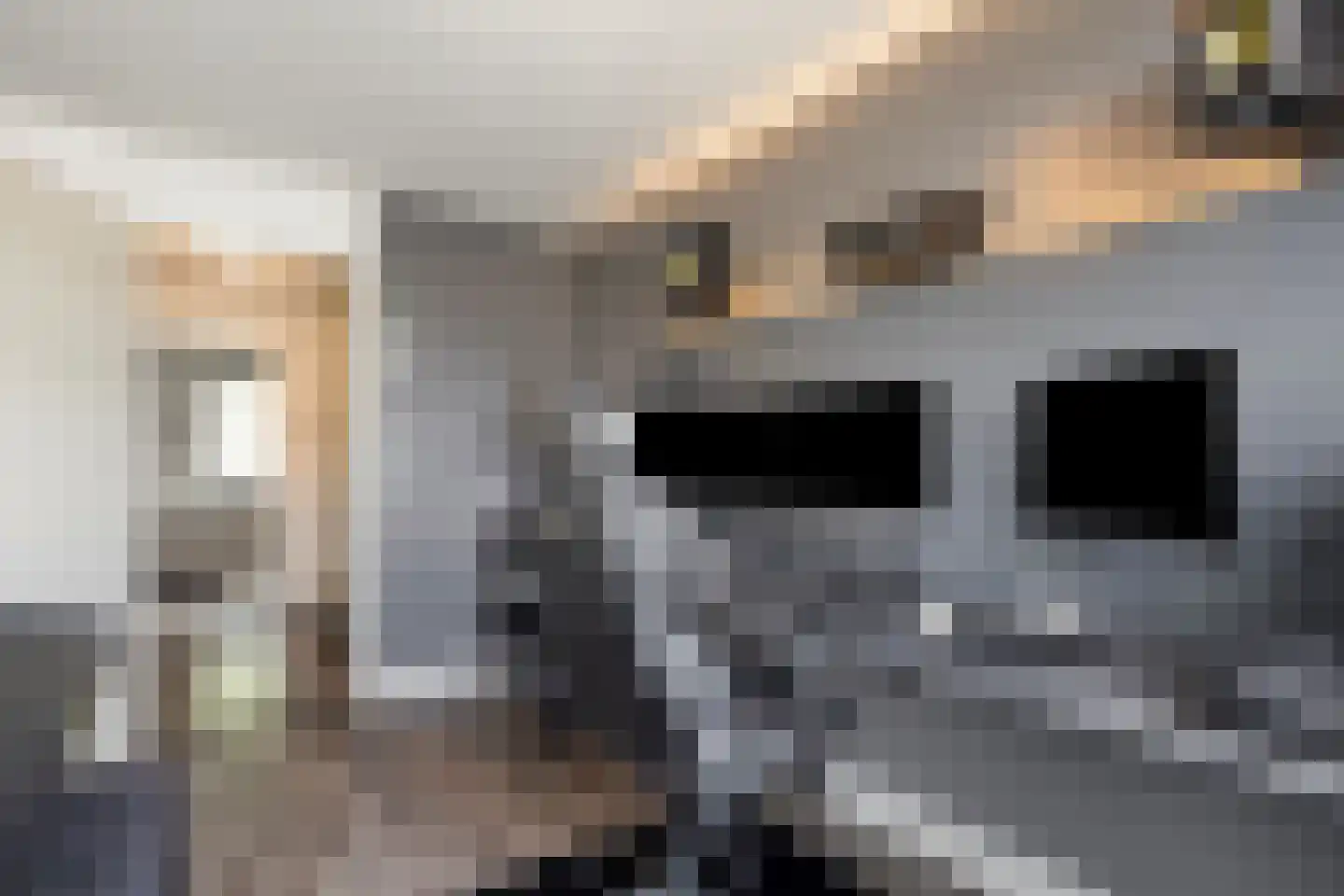 Cornelis Gerritsz Geusstraat 264 Den Helder thumbnail 21