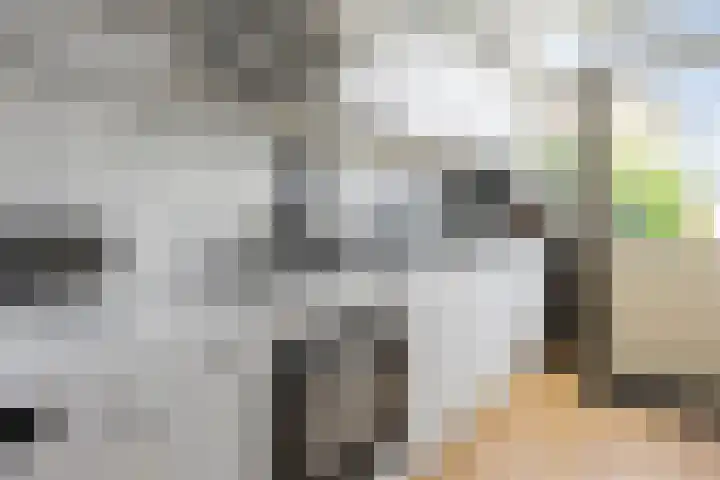 Cornelis Gerritsz Geusstraat 3 Den Helder thumbnail 15