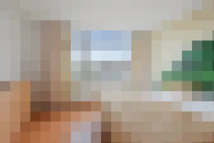 Cornelis Gerritsz Geusstraat 3 Den Helder thumbnail 23