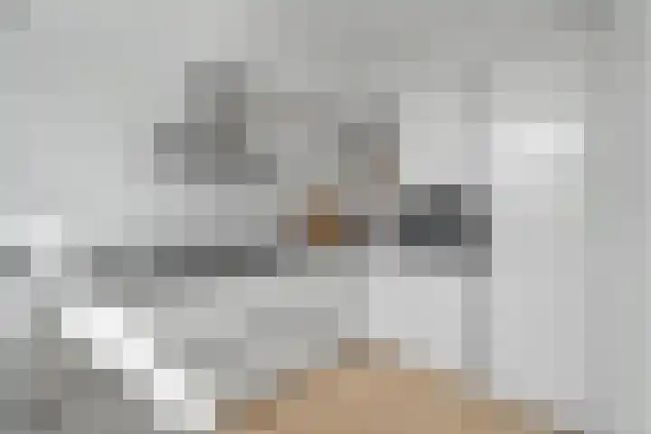 Cornelis Gerritsz Geusstraat 58 Den Helder thumbnail 11