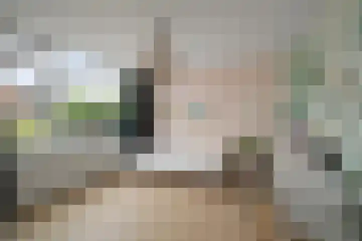 Cornelis Gerritsz Geusstraat 58 Den Helder thumbnail 18