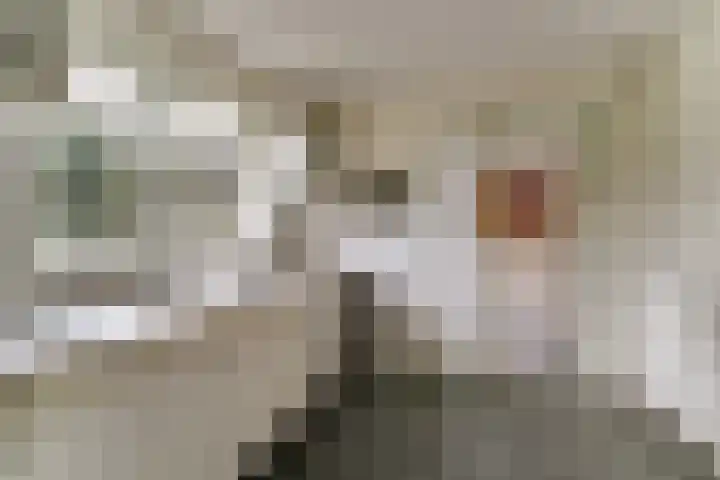 Cornelis Haringhuizenlaan 20 Midwoud thumbnail 20