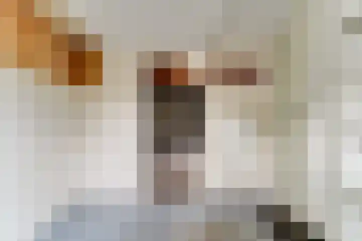 Cornelis Haringhuizenlaan 20 Midwoud thumbnail 22