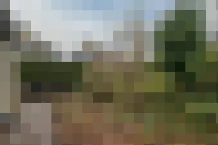 Cornelis Haringhuizenlaan 20 Midwoud thumbnail 26