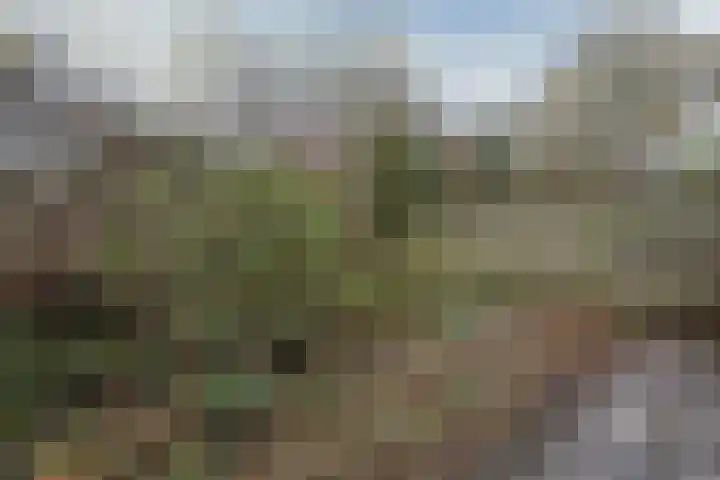 Cornelis Haringhuizenlaan 20 Midwoud thumbnail 28