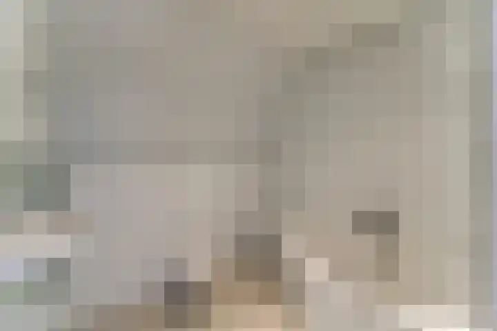 Cornelis Haringhuizenlaan 20 Midwoud thumbnail 42